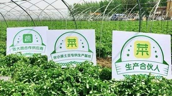 公司图片